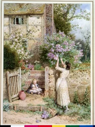 Il cottage lilla